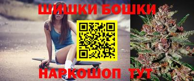 шишки Дубна