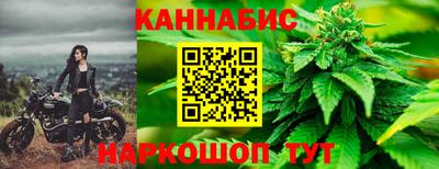 шишки Дубна