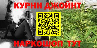 шишки Дубна