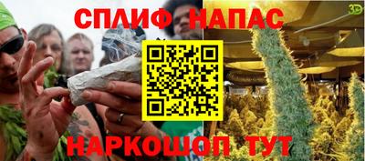 шишки Дубна