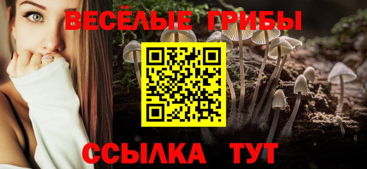 Галлюциногенные грибы Psilocybine cubensis Михайловка