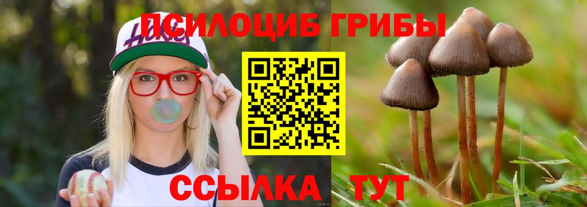 Псилоцибиновые грибы прущие грибы  Вход с VPN  Михайловка 